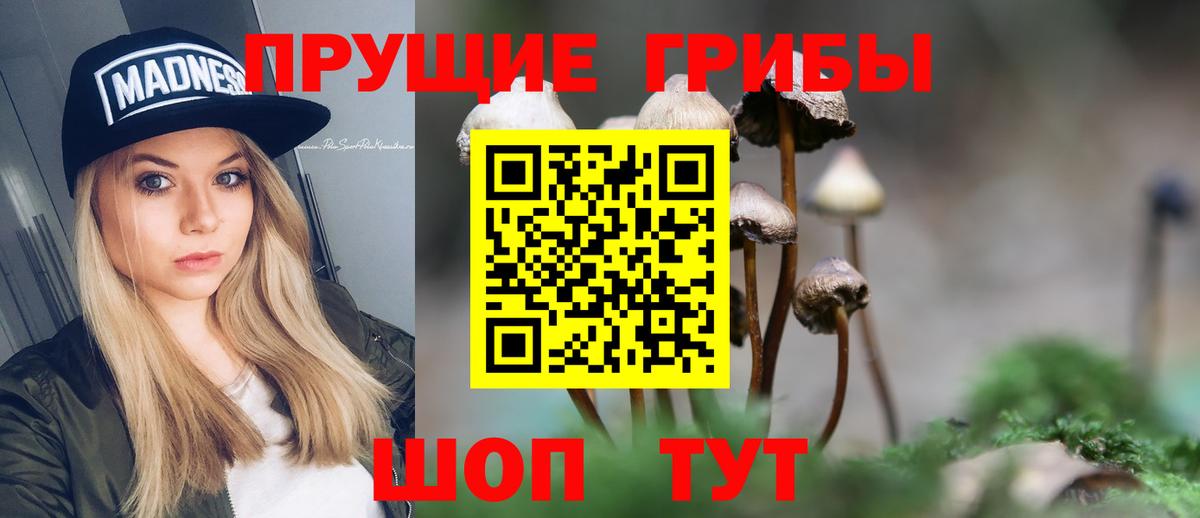 Псилоцибиновые грибы ЛСД  где купить   Галлюциногенные грибы MAGIC MUSHROOMS  Томск  Вход с VPN 